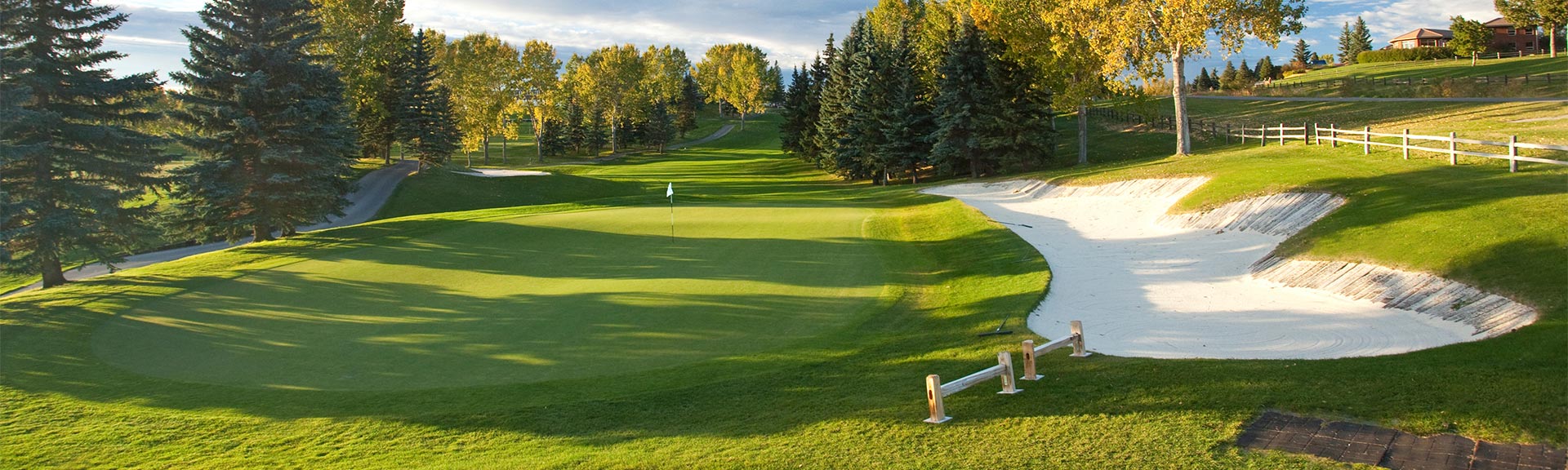Turf Products